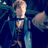 Newt Scamander